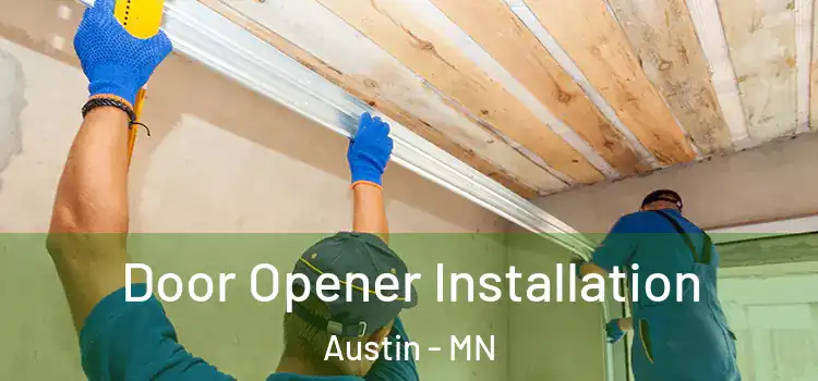  Door Opener Installation Austin - MN