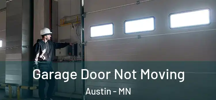  Garage Door Not Moving Austin - MN