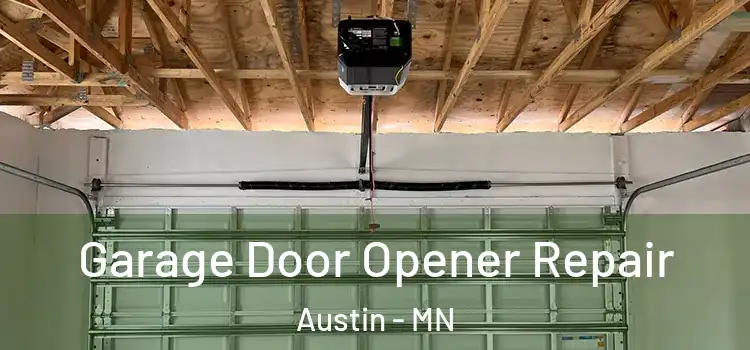 Garage Door Opener Repair Austin - MN