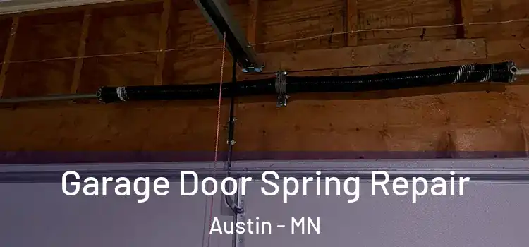  Garage Door Spring Repair Austin - MN